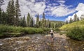 Fly Fishing on a crystal clear trout stream in the Rocky Mountains near Telluride , Colorado