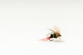 Fly fishing fly, bee imitation for trout or salmon on white back Royalty Free Stock Photo