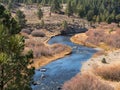 Fly fishing on the Little Truckee River