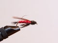 Fly fishing lure in a vice Royalty Free Stock Photo