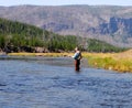 Fly fishing the Madison River in Montana