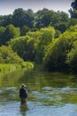 Fly Fishing ,River Itchen,Hampshire England Royalty Free Stock Photo