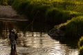 Fly Fishing in River in Rocky Mountain National Park Royalty Free Stock Photo