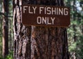 Fly Fishing Only sign on a pine tree Royalty Free Stock Photo