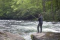 Fly Fishing For Trout