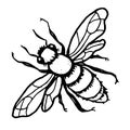 Fly. Flat outline image. vector illustration Royalty Free Stock Photo
