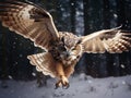 fly of Flying Eurasian Eagle owl with open wings with snow flake in snowy forest during cold winter Royalty Free Stock Photo