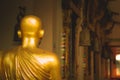 Fly on a golden buddha statue at Wat Intharam Kanchanaburi, Thai Royalty Free Stock Photo