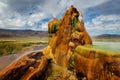 Fly Gyser Nevada Royalty Free Stock Photo