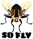 So Fly Housefly Funny Illustration with White Background and Clipping Path for Sublimation Design