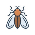 Color Illustration Icon For Fly, Insects And Mosquito