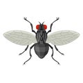 Fly icon, small black insect with wing