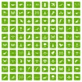 100 fly icons set grunge green Royalty Free Stock Photo