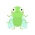Fly insect icon. Green housefly flying standing bug. Baby kids collection. Transparent wings. Cute cartoon kawaii funny character Royalty Free Stock Photo