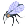 Fly insect icon isometric vector. Biology bug Royalty Free Stock Photo
