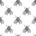 Fly insects vector seamless pattern