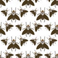 Fly insects wildlife entomology bug animal nature beetle biology buzz icon vector illustration pattern seamless