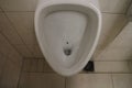 Fly in outflow of urinal