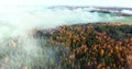 Fly over the colored autumn forest with fog