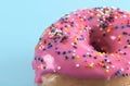 Fly on a Pink Sprinkle Donuts on a Turquoise Background