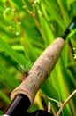 Fly Rod with Fly on Handle 1 Royalty Free Stock Photo