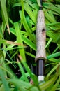 Fly Rod with Fly on Handle 2 Royalty Free Stock Photo
