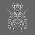 fly silhouette with hearts, eyes, wings, paws, dots and a star. Vector isolated hand drawing insect