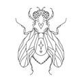 fly silhouette with hearts, eyes, wings, paws, dots and a star. Vector isolated hand drawing insect