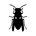 Fly silhoutte clipart Royalty Free Stock Photo