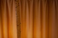 The fly stick is suspended from the ceiling opposite the orange curtains. Royalty Free Stock Photo