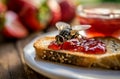Fly on strawberry jam toast Royalty Free Stock Photo