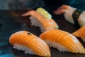 Fly on sushi salmon . fly eat salmon fish , carrier of communicable diseases, f