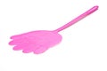 Fly Swatter Royalty Free Stock Photo