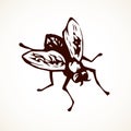 Fly. Vector drawing Royalty Free Stock Photo