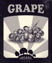 Flyer with grape drawn by hand with pencil. Retro design