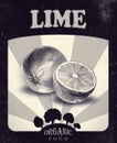 Flyer with limes drawn by hand with pencil. Retro design