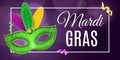 Flyer for Mardi Gras carnival. Luxurious mask with colorful feathers. Festive flyer, template. Cover with a banner frame. Vector Royalty Free Stock Photo