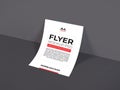 Flyer Paper 3D Illustration Mockup Scene