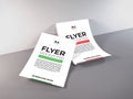 Flyer Paper 3D Illustration Mockup Scene