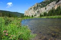 Flyfishing Gallatin River