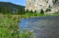 Flyfishing in Montana Royalty Free Stock Photo