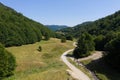 Flying above a valley and deciduous forest by drone Royalty Free Stock Photo