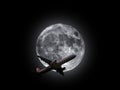 Flying airplane across moon Royalty Free Stock Photo