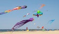 Flying aliens and sea creature kites at michigan kite fest
