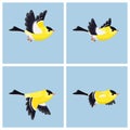 Flying American Goldfinch male animation sprite sheet