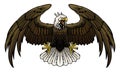 Flying Angry Bald Eagle Illustration