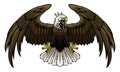 Flying Angry Bald Eagle Illustration Royalty Free Stock Photo
