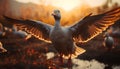 Flying animals in the wild, feathers spread, bask in sunset beauty generated by AI