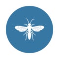 flying ant icon. Element of insect icons for mobile concept and web apps. Badge style flying ant icon can be used for web and mobi Royalty Free Stock Photo