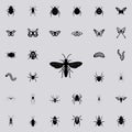 flying ant icon. insect icons universal set for web and mobile Royalty Free Stock Photo